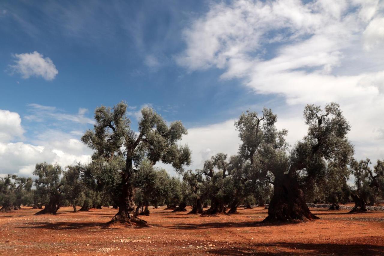 Masseria Conca D'Oro Остуни Экстерьер фото