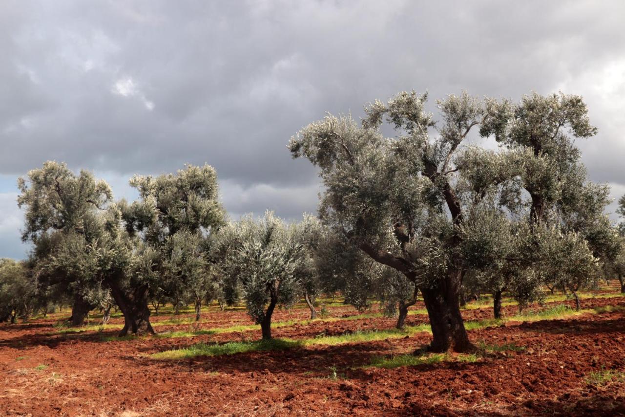 Masseria Conca D'Oro Остуни Экстерьер фото