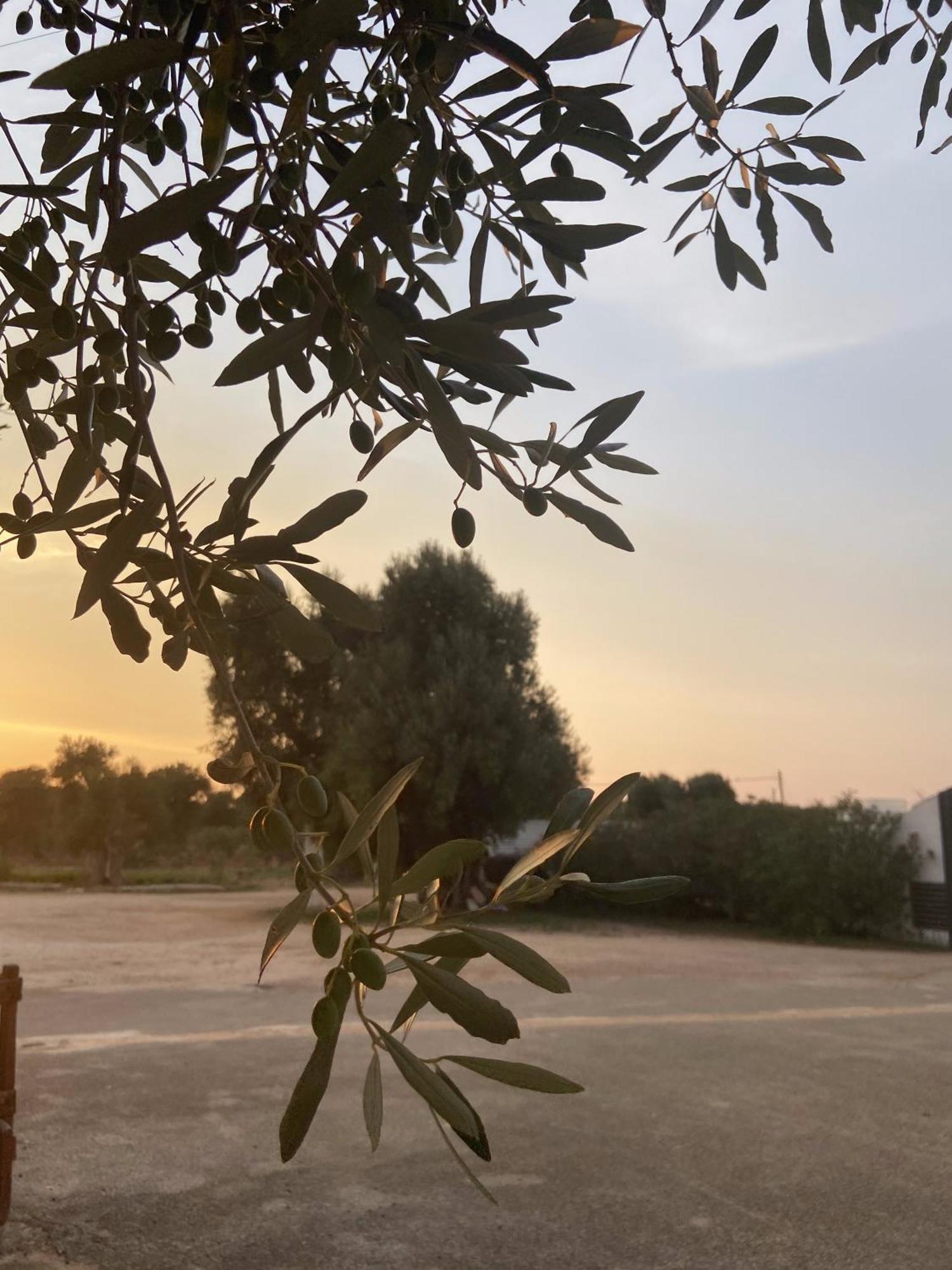 Masseria Conca D'Oro Остуни Экстерьер фото